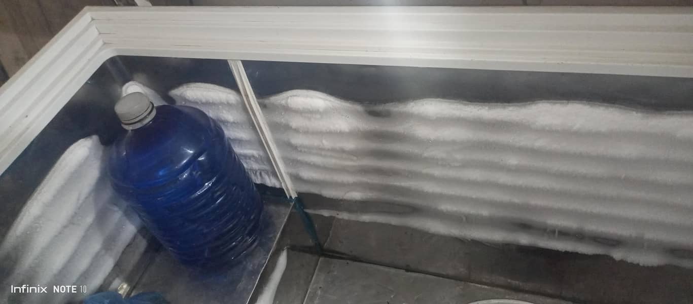 DEEP FREEZER 1