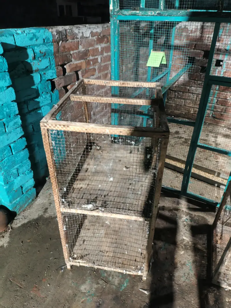 double story cage — photo 2