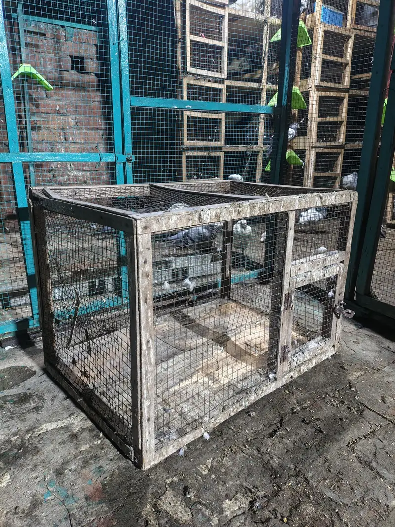 double story cage — photo 3