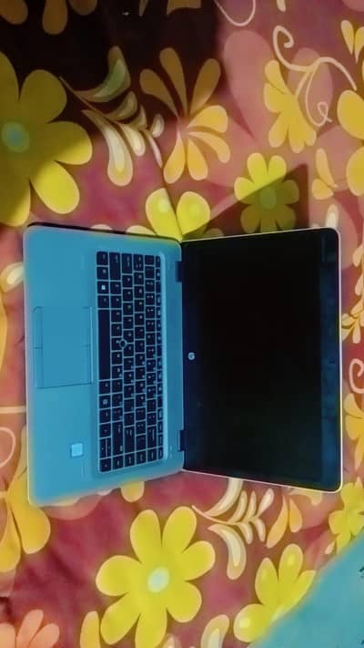 HP Book LED