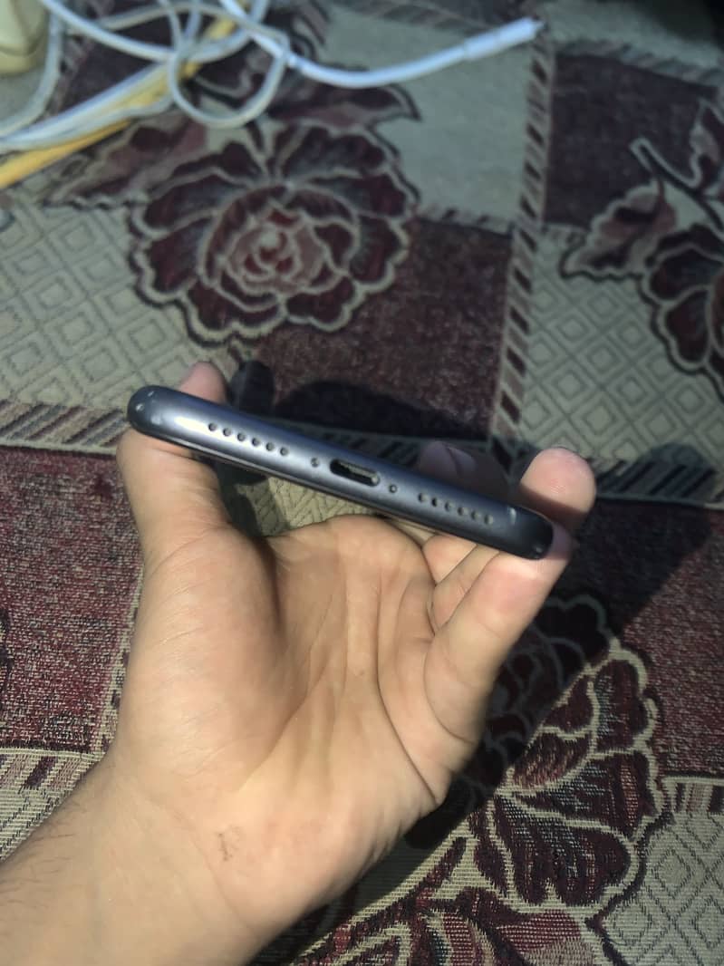 Apple iPhone 11 0