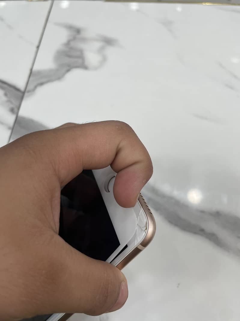 Apple iPhone 8 Plus 1