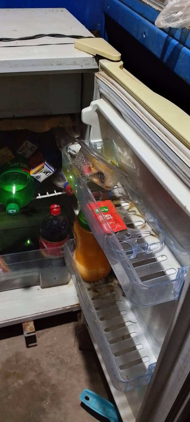 mini fridge 1