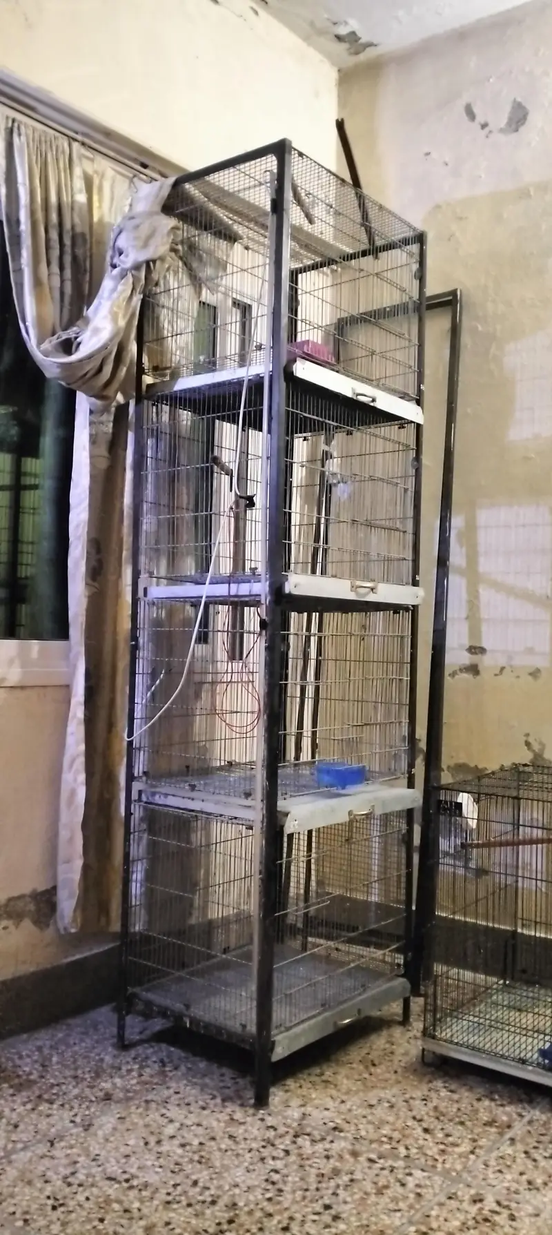 cage galvanized wire — photo 2