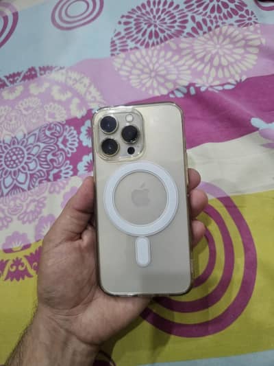 iPhone 13 Pro (Bypass)