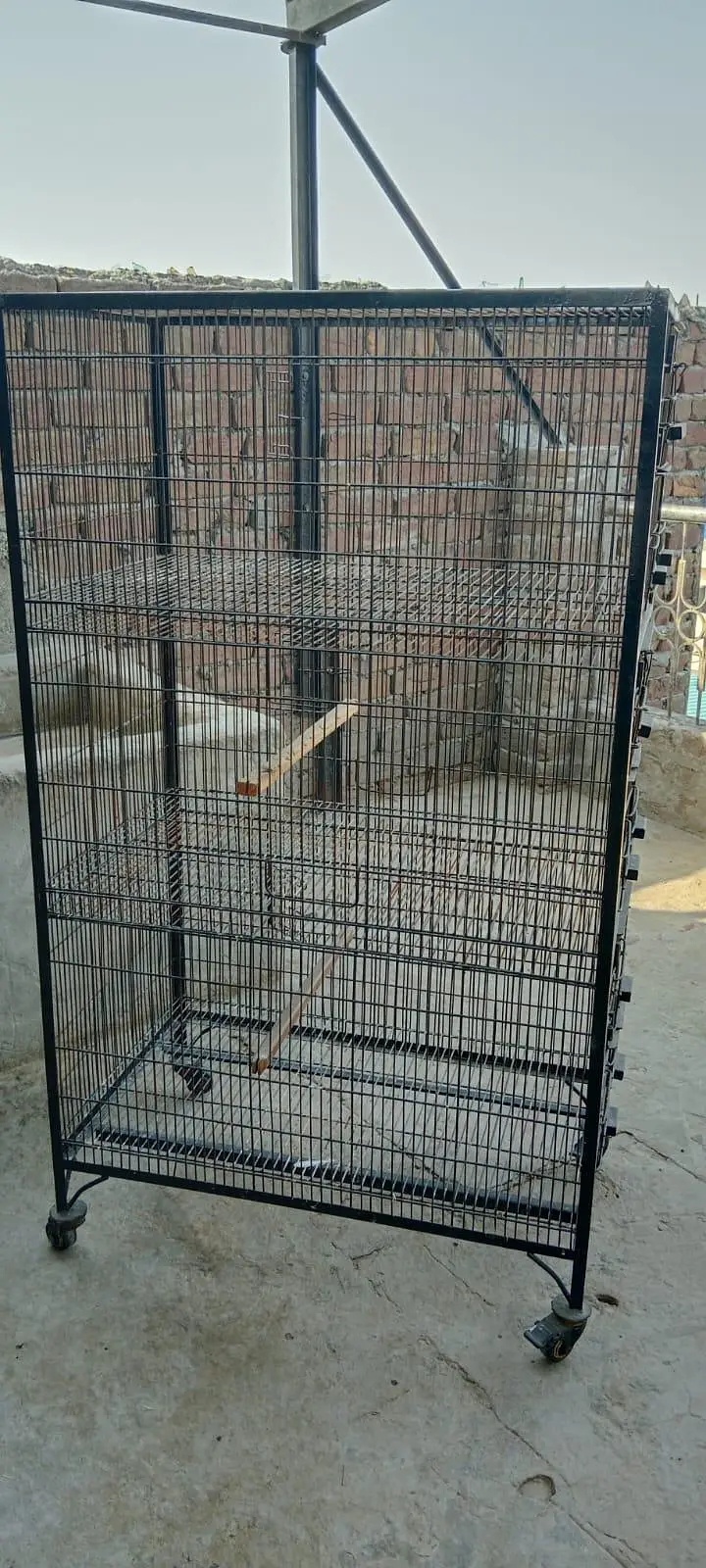 cage 2' × 2.5' — photo 4