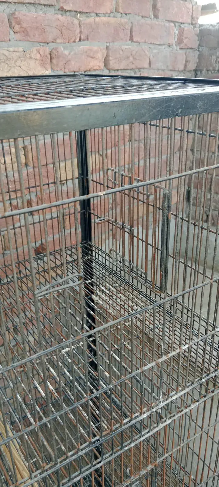cage 2' × 2.5' — photo 5