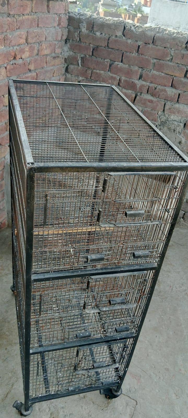 cage height 15" depth 2.5' wirth 1.5' 7