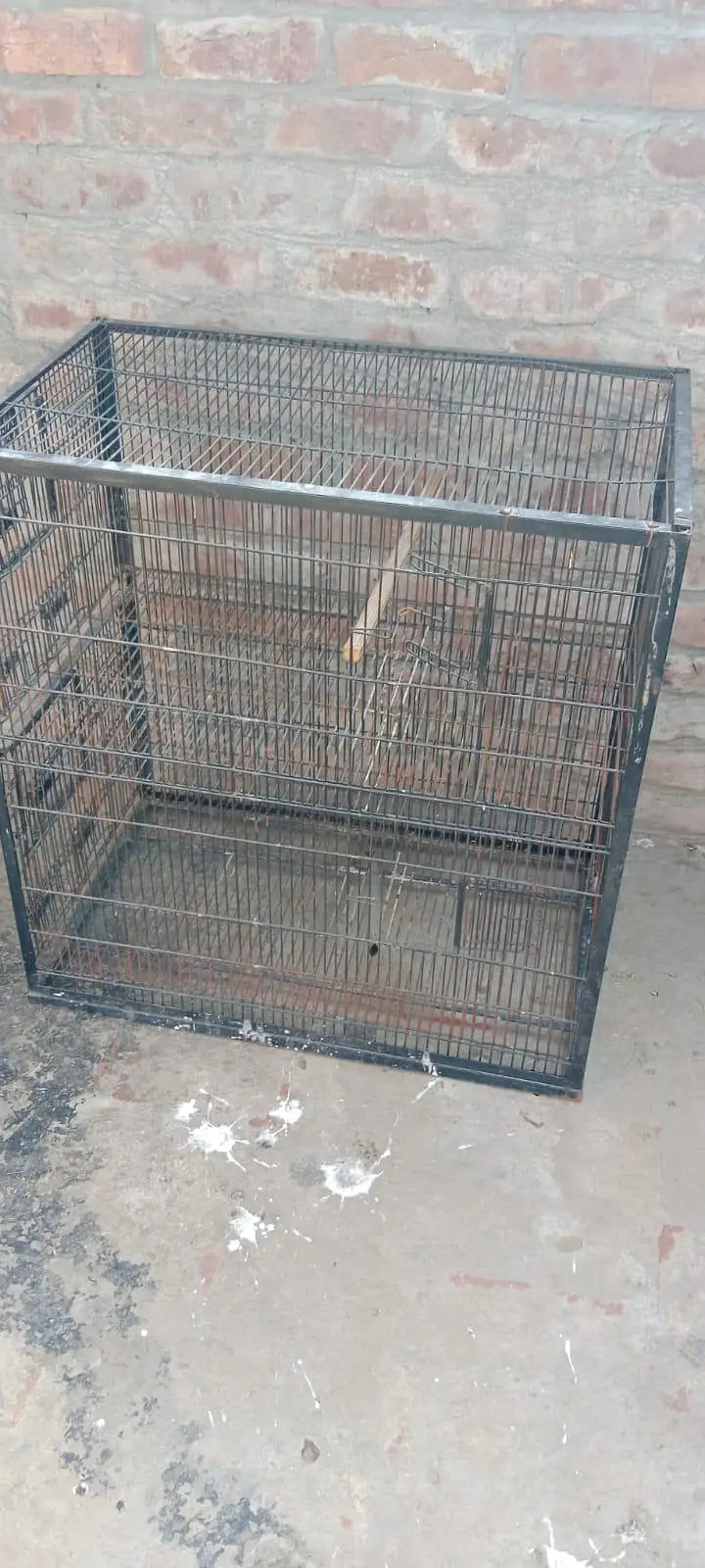 cage 2' × 2.5' — photo 10