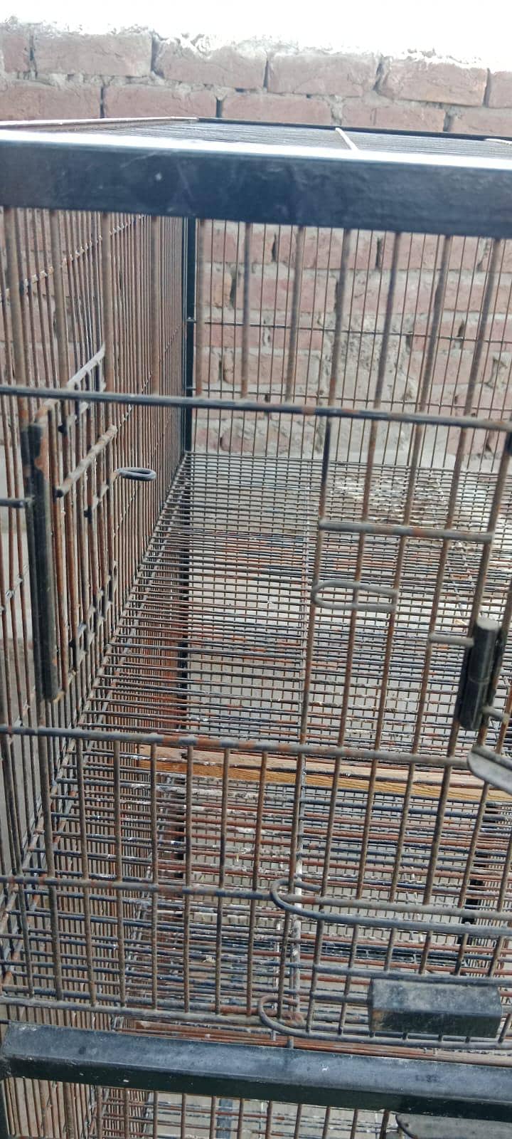 cage height 15" depth 2.5' wirth 1.5' 10