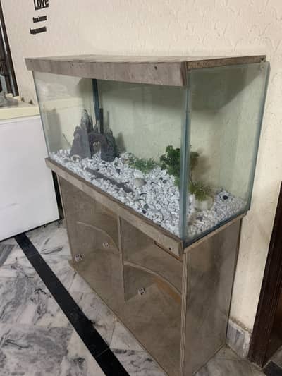 3Ft Fish Aquarium