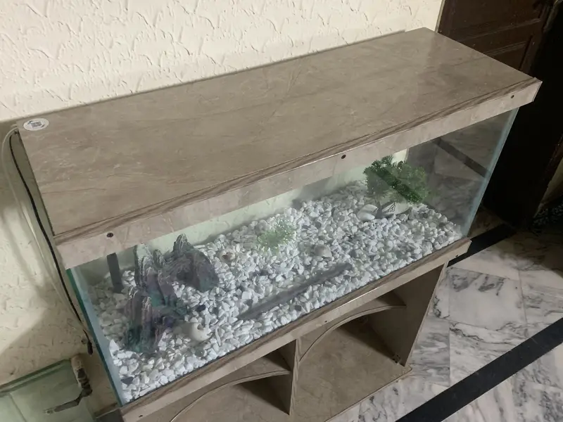 3Ft Fish Aquarium — photo 2