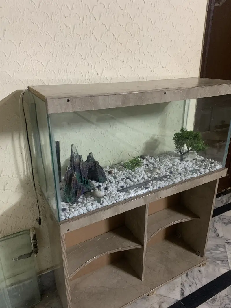 3Ft Fish Aquarium — photo 4