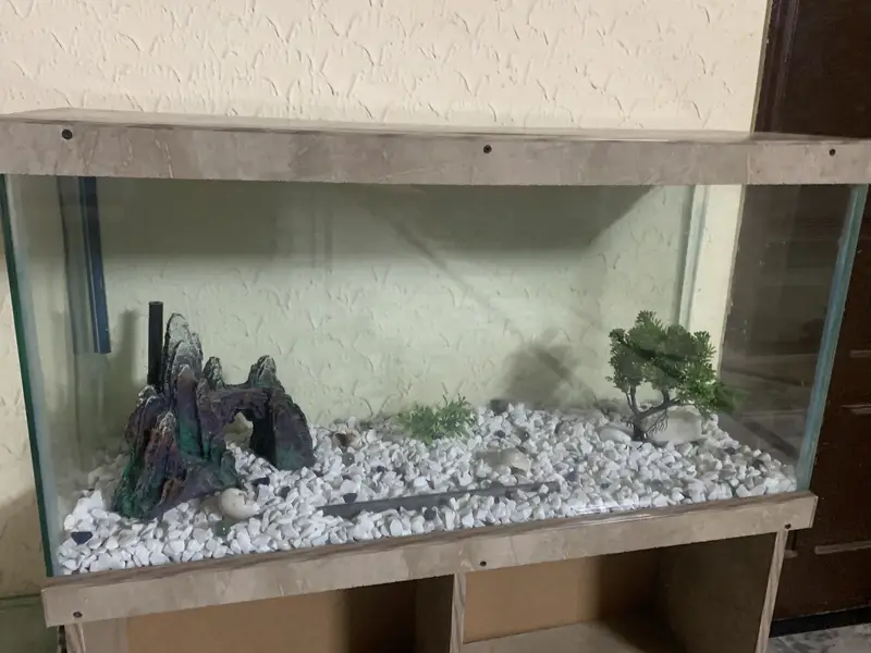 3Ft Fish Aquarium — photo 5