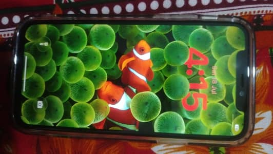 Iphone 11 pro