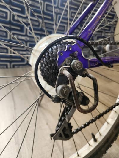 Original Malaysian cycle