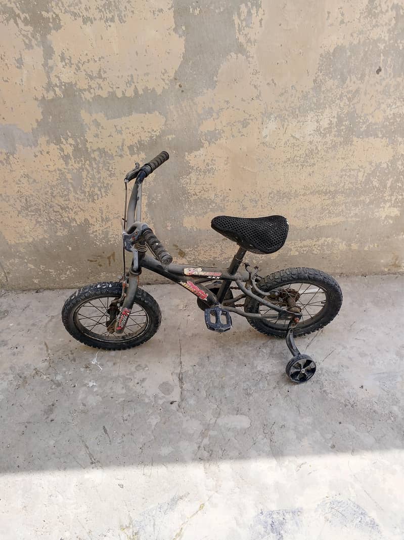 imported Bicycle 1