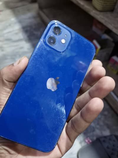 Apple iPhone 12