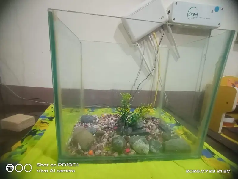 aquarium for sale