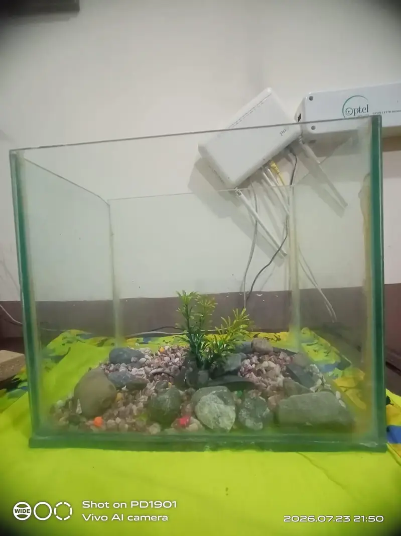 aquarium for sale — photo 2