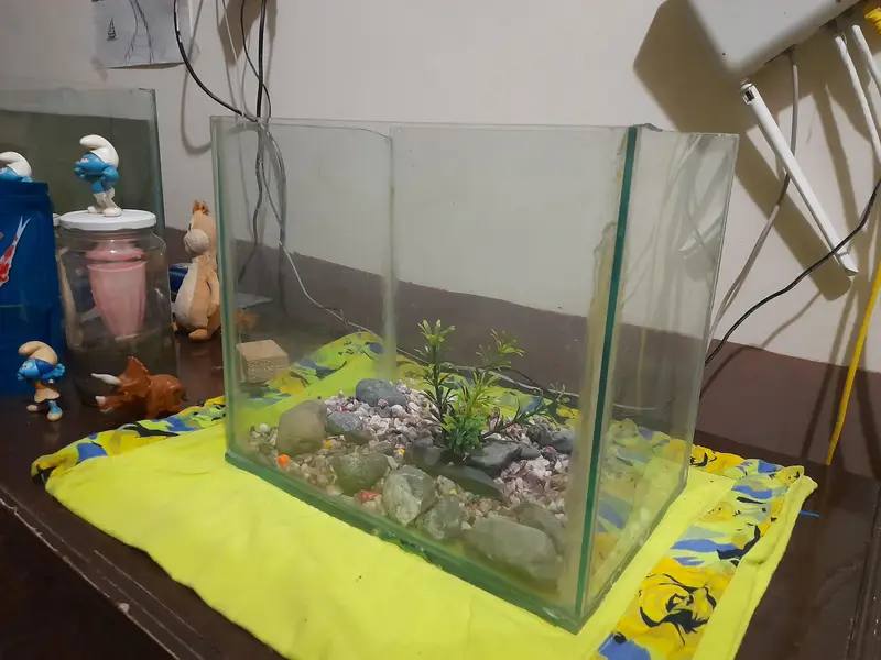 aquarium for sale — photo 3