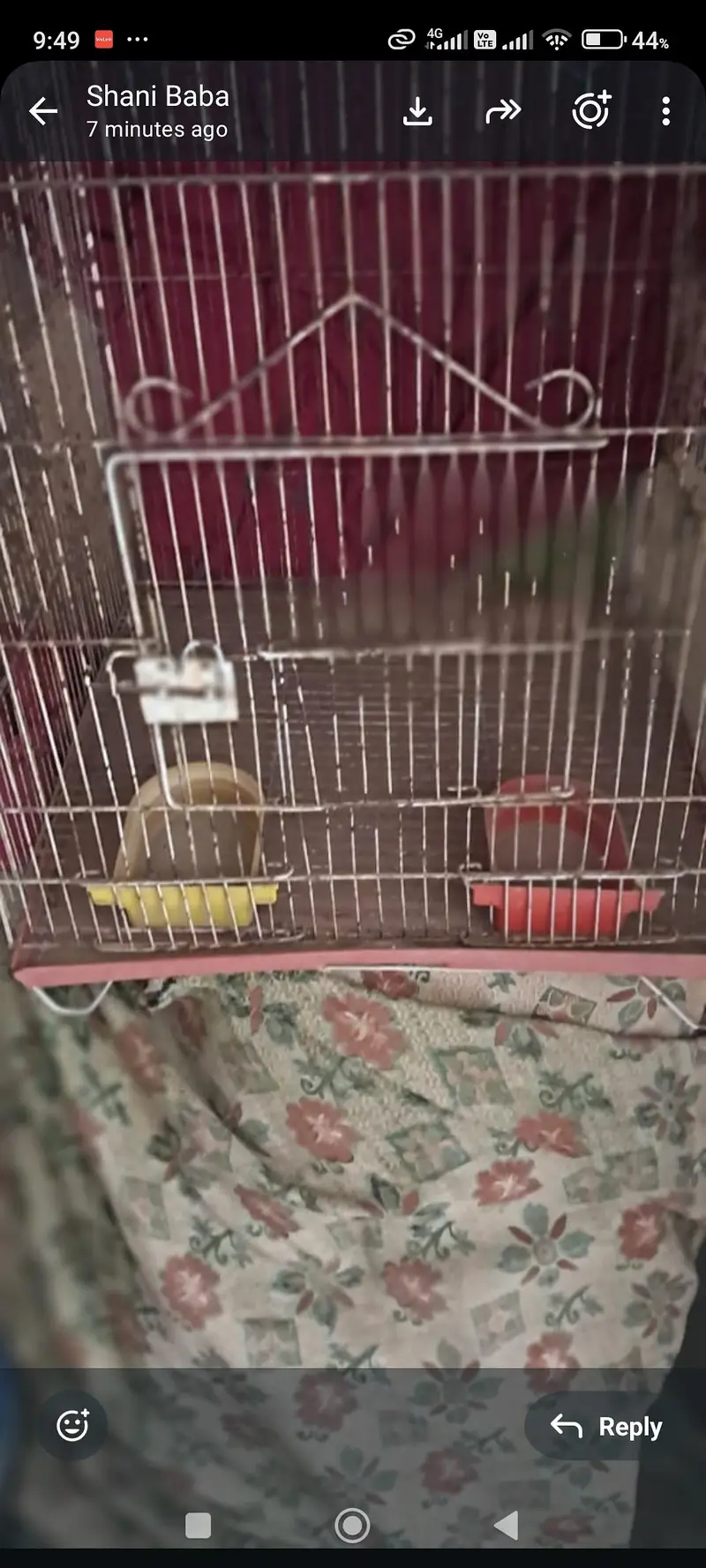 cage for sale in Lahore — photo 7