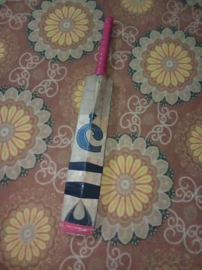 Used Hard Ball International Bat CA Brand English Willow