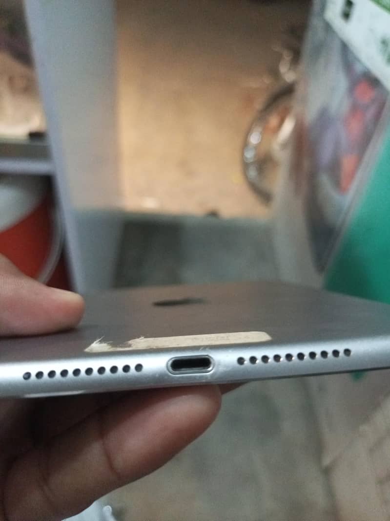 Apple mini 4 tab 2