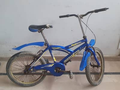 Elegant bicycle
