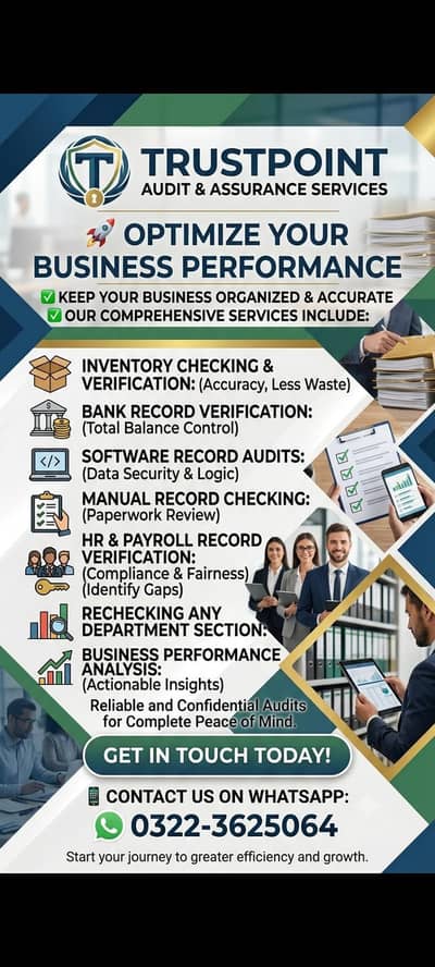 Professional Auditors