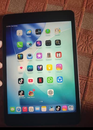 ipad mini 5