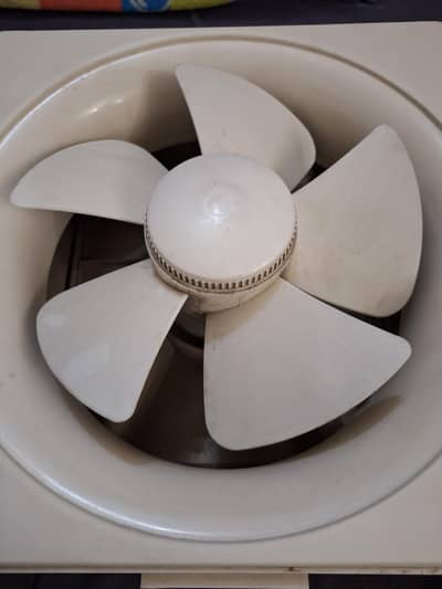 pak fan