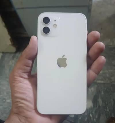 IPhone 12 (Non Pta)