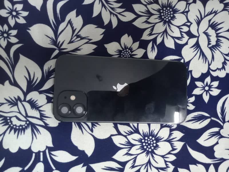 Apple iPhone 12 1