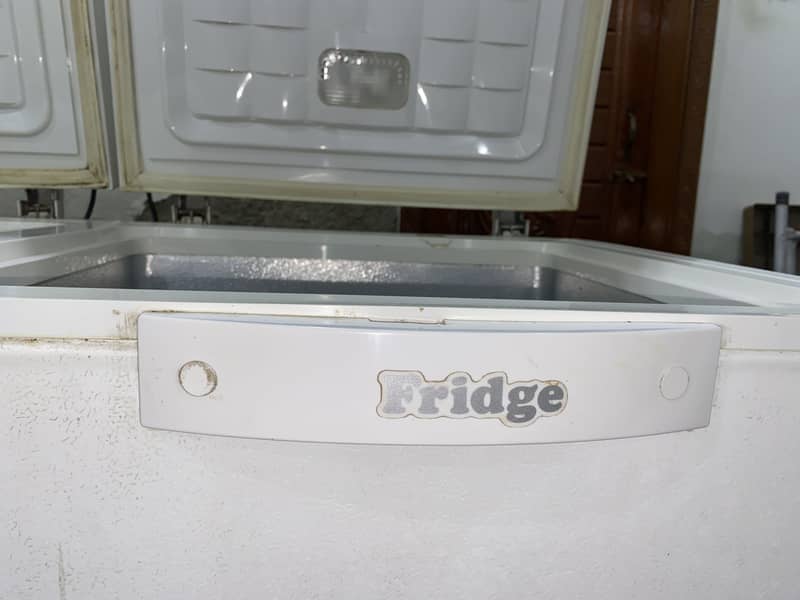 Waves freezer 4