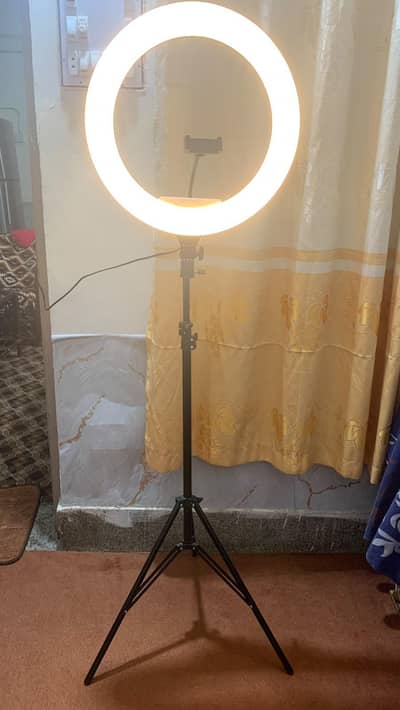 Ring Fill light