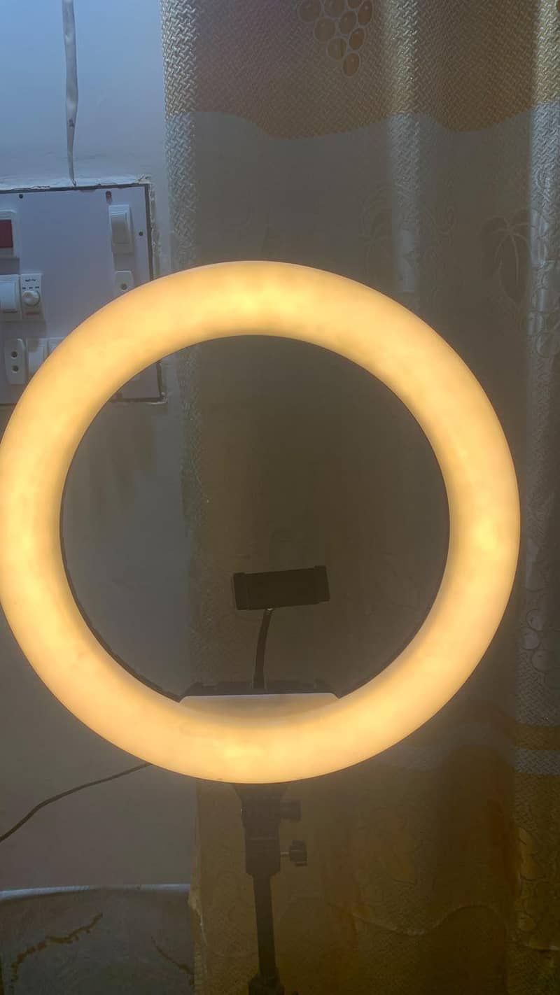 Ring Fill light 1