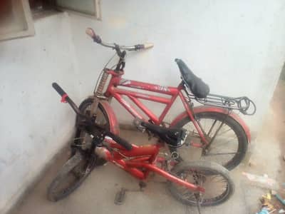 CYCLES 02 ADAD 6/12 AUR 3/7 SAAL