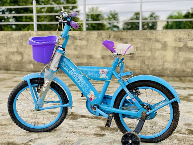 Bicycle 1