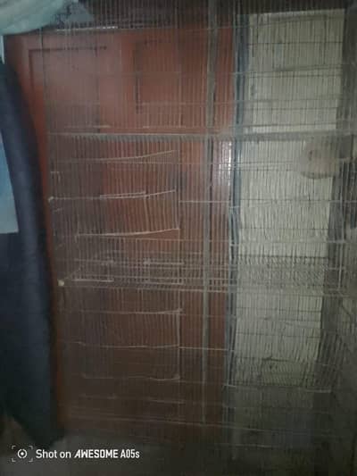 8 Khana ka pingra ha