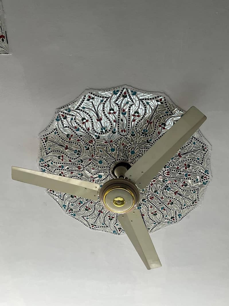 Ceiling fans 1