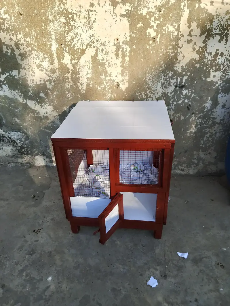Strong Wooden Cage – Best for Birds, Chickens,+Chicks. price Adjesta — photo 2