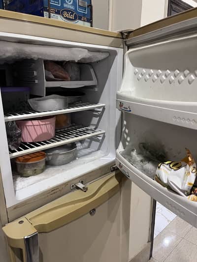 Pel Fridge