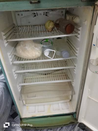 pel full jubo size fridge