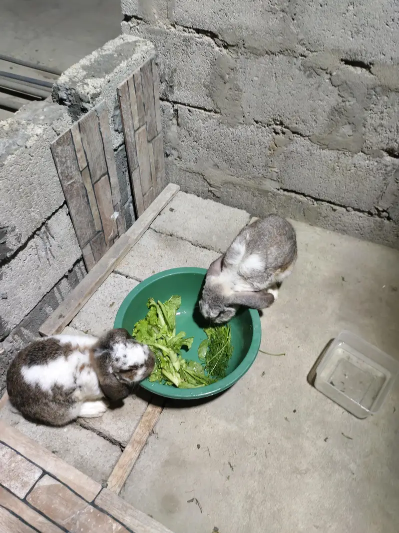 male and female