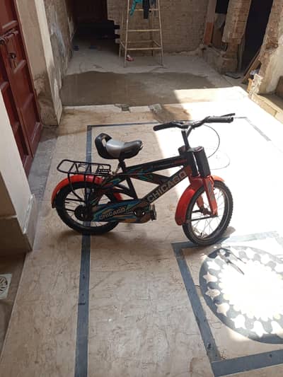 sports by cycle