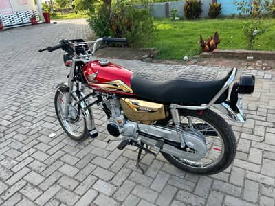 Gold edition