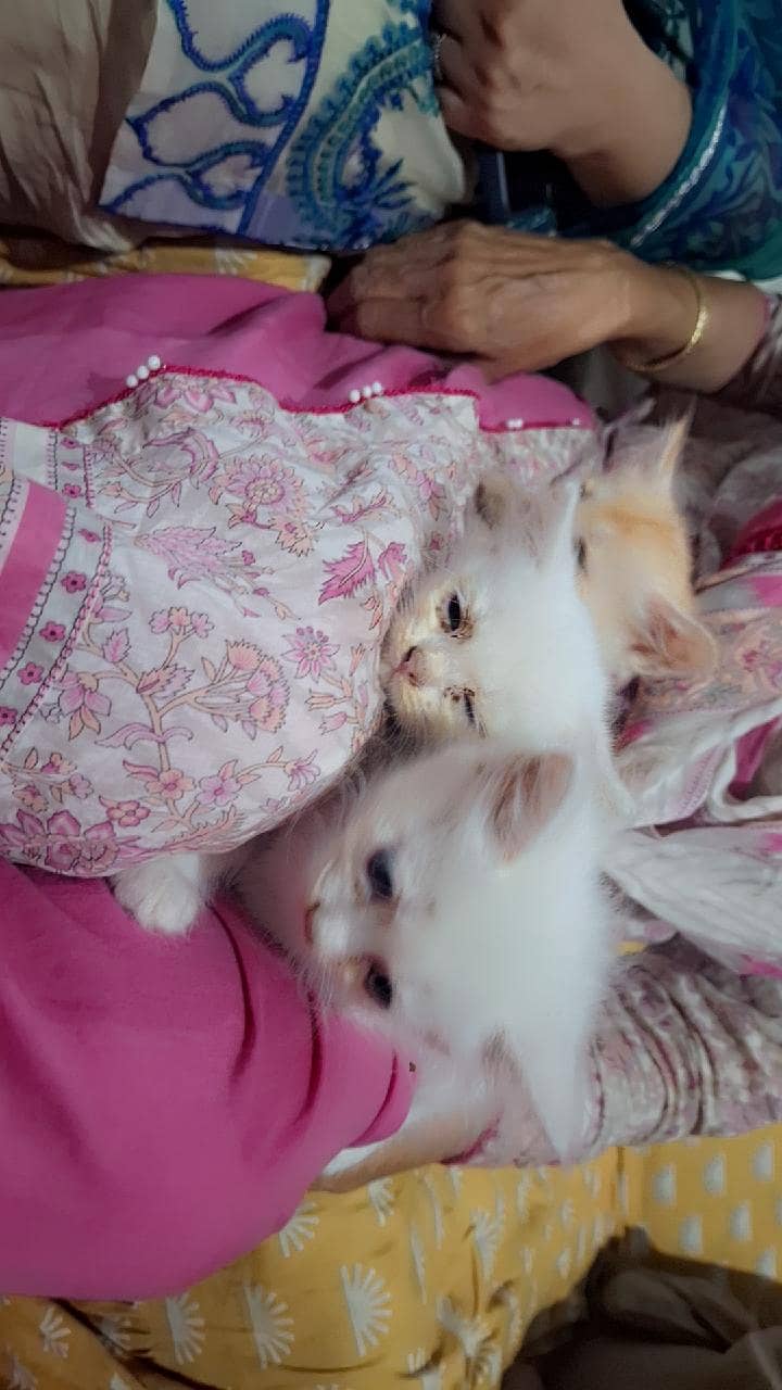 white pair 3