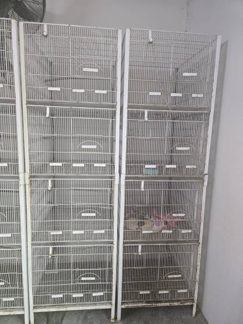 Cages 1