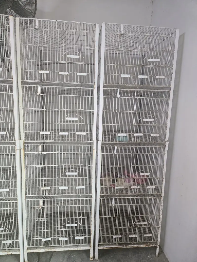 Cages — photo 2